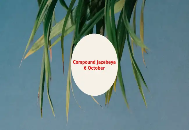 Compound-Jazebeya-6-October